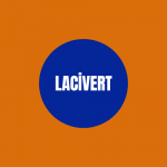 Lacivert Kase 